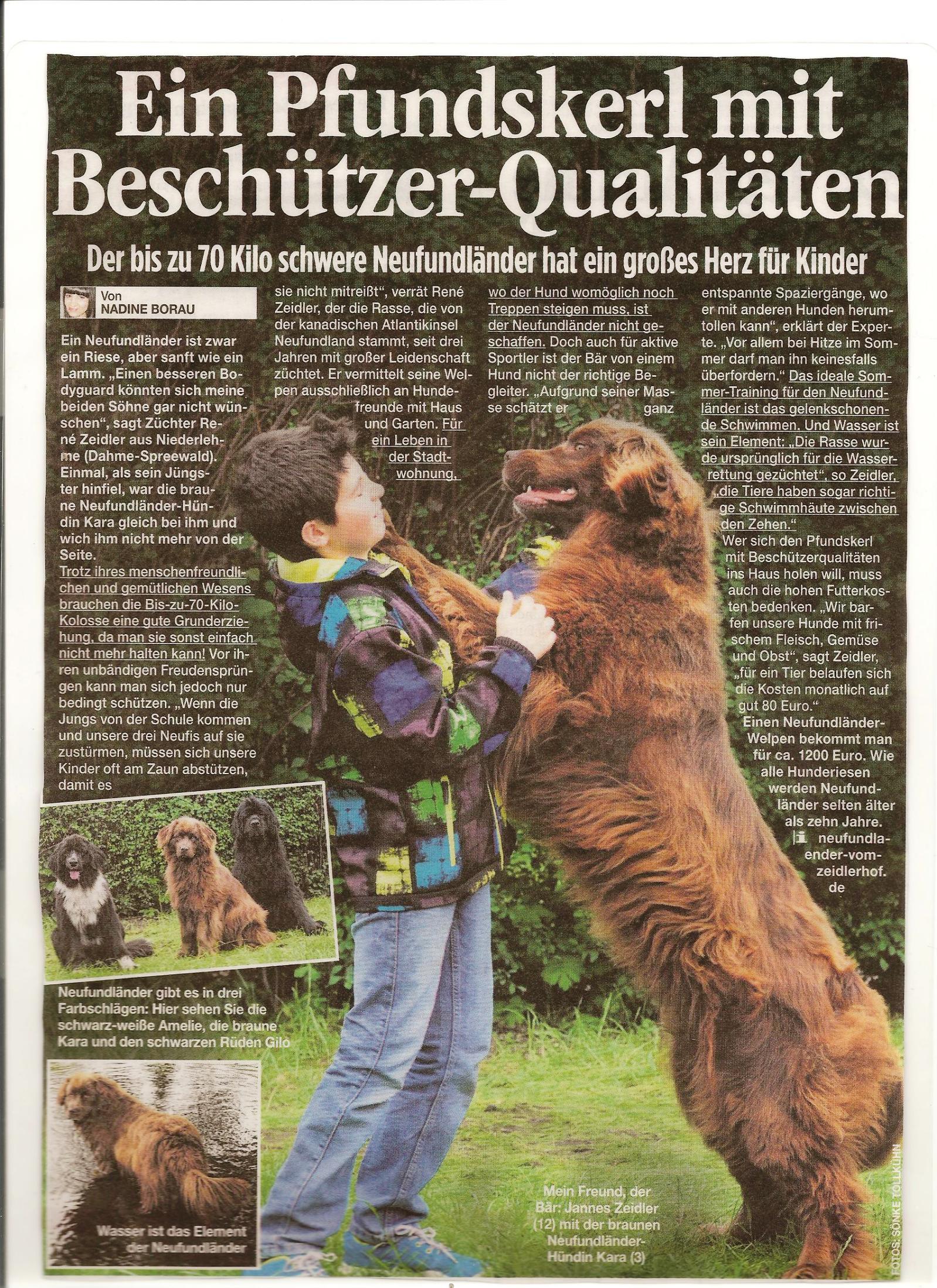 Bild(vereinsleben/bilder/Schoene Bilder/Zeitung 001.jpg) konnte nicht geladen werden